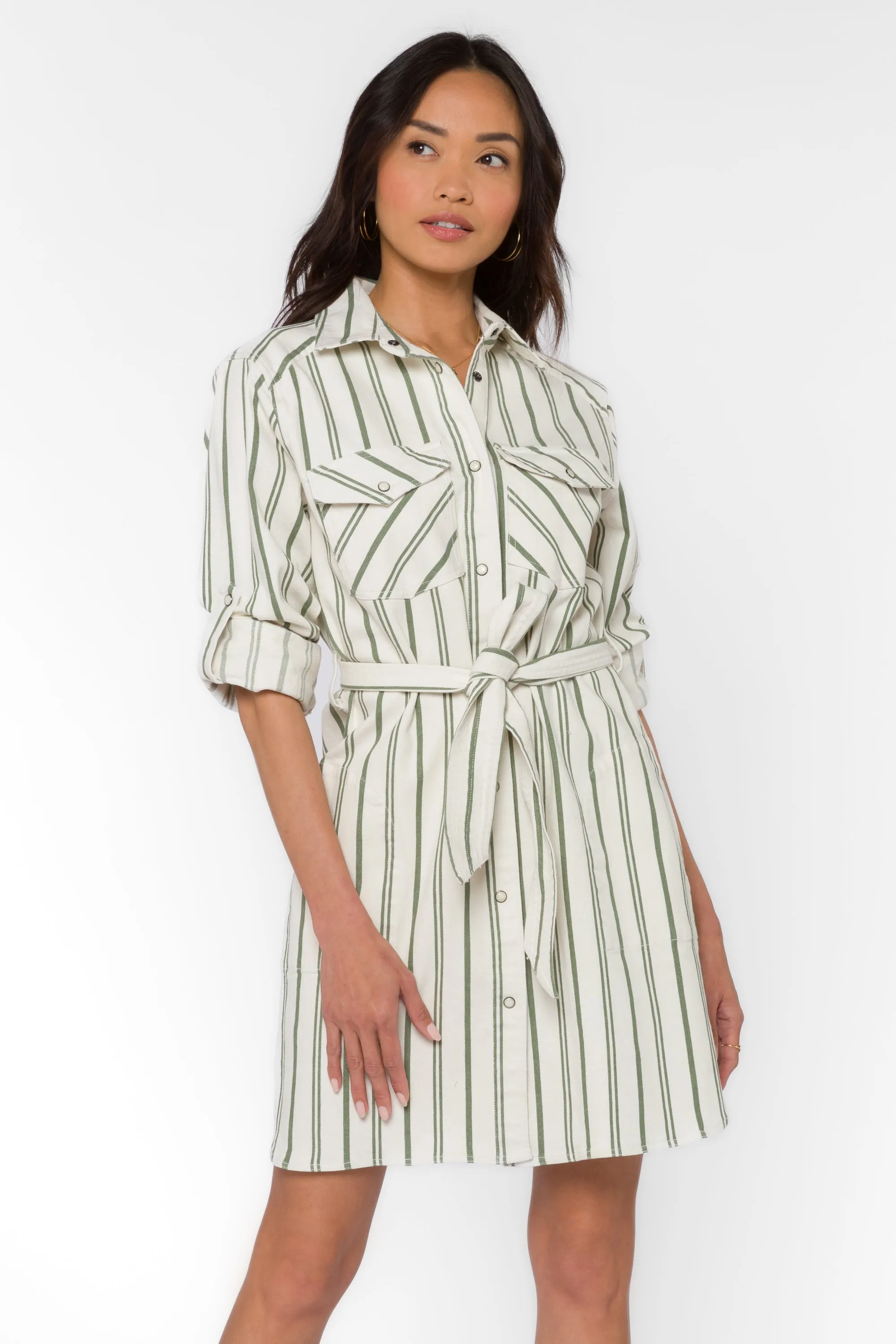 Gelsey Olive Stripe Dress