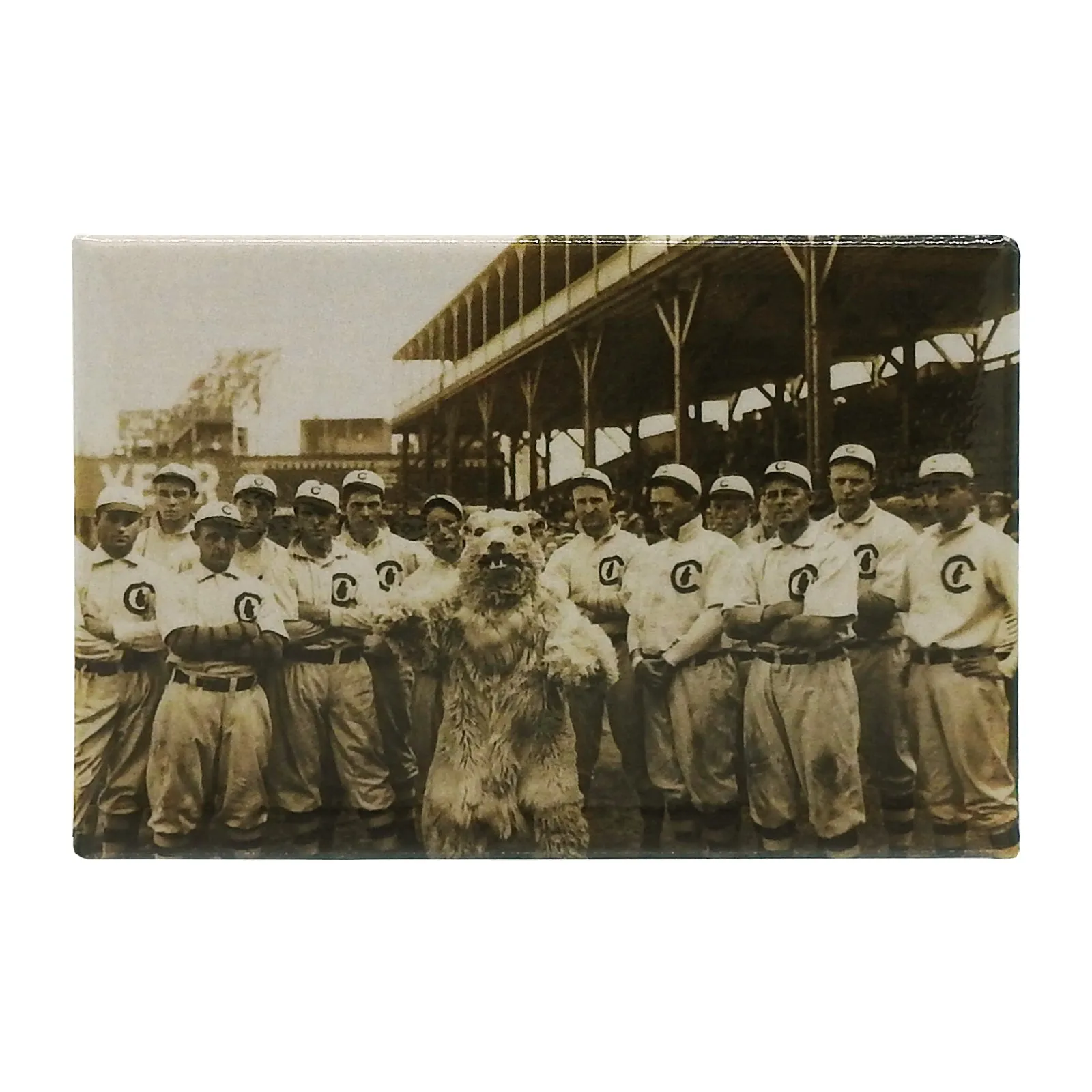 Vintage Cubs Magnet